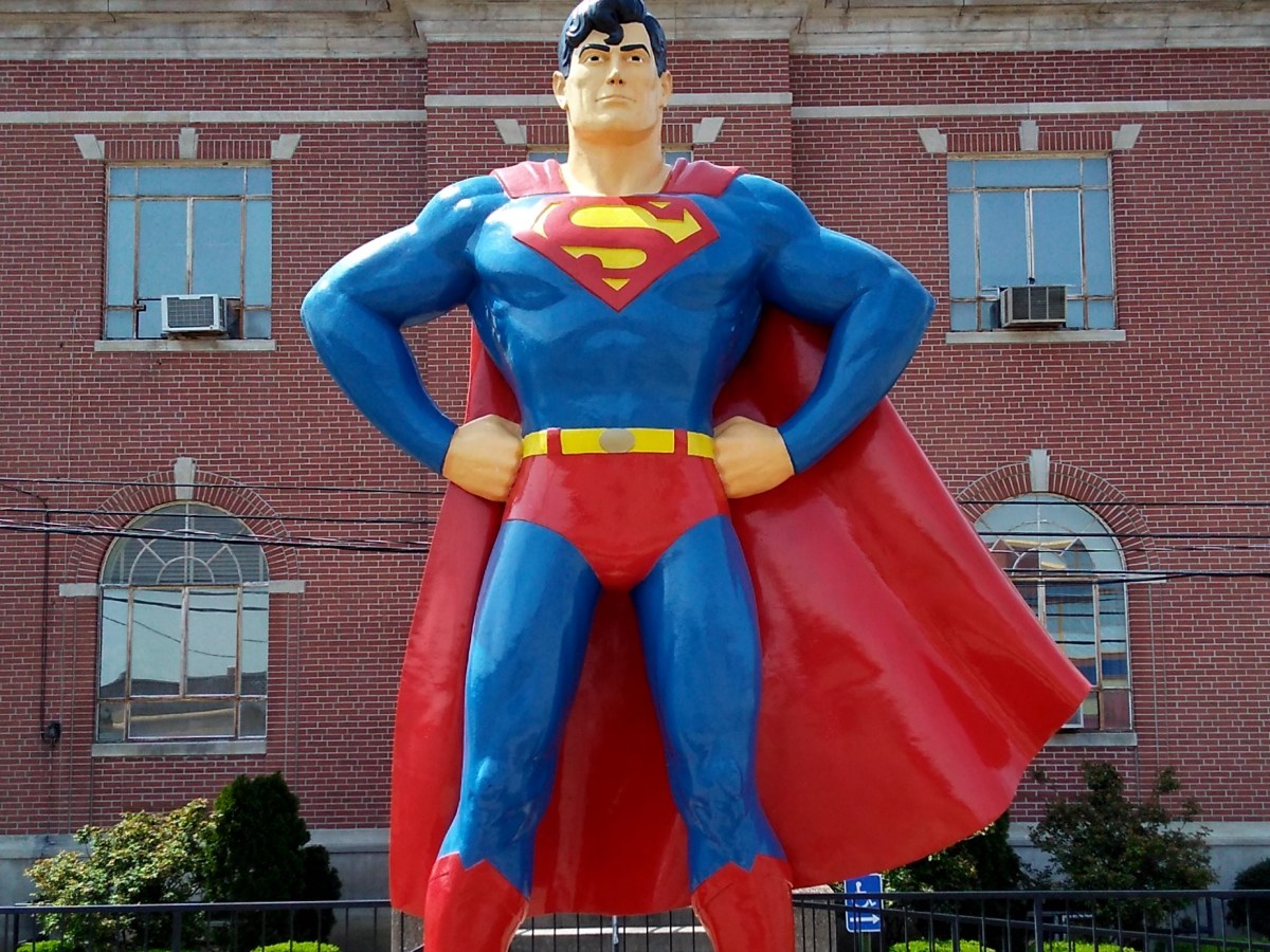 It’s a Bird, It’s a&nbsp;Plane…