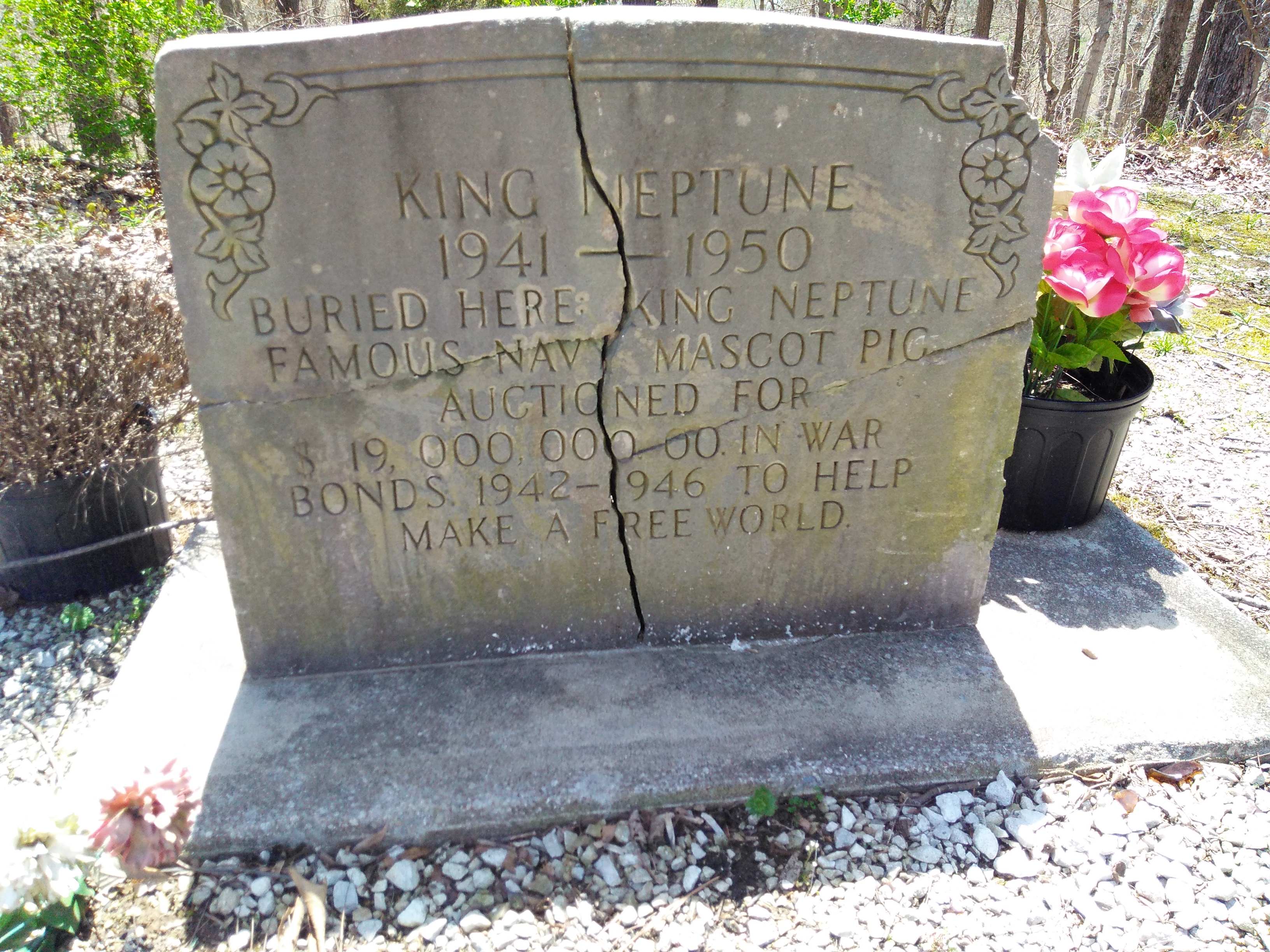 IMG_20180418_131852913