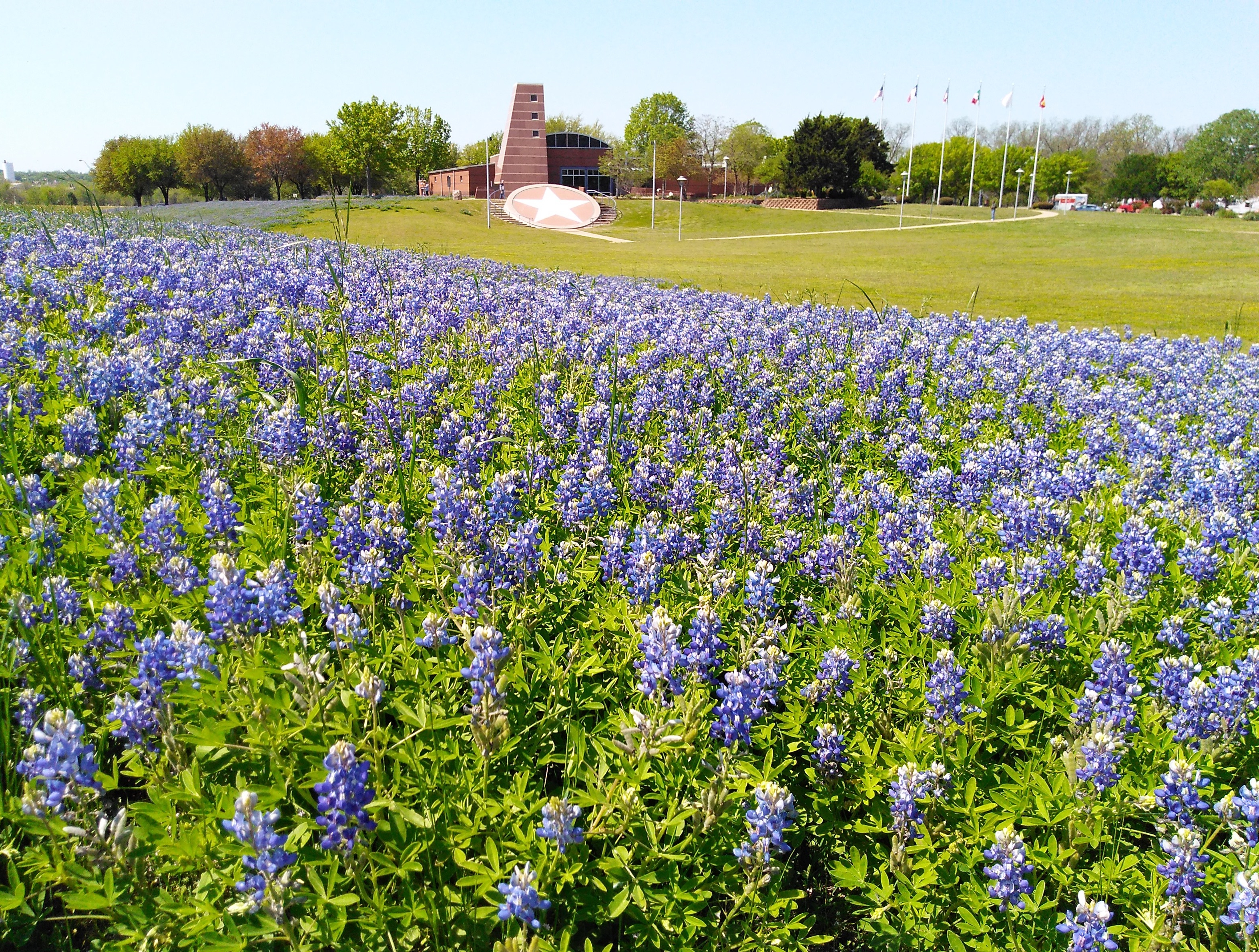 IMG_20180424_113305041