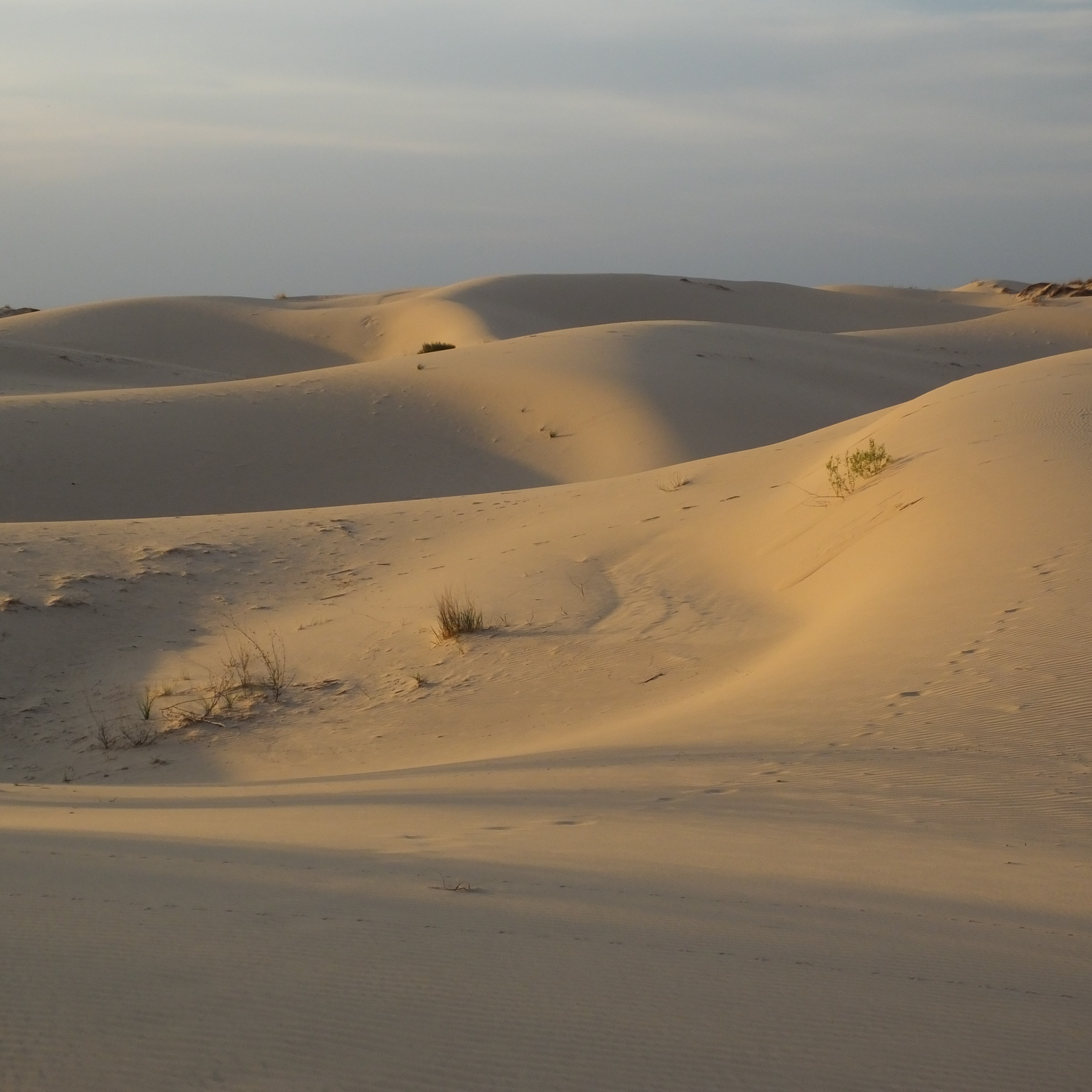 2018 Alaska Trip 0280 - 1805011957 edit