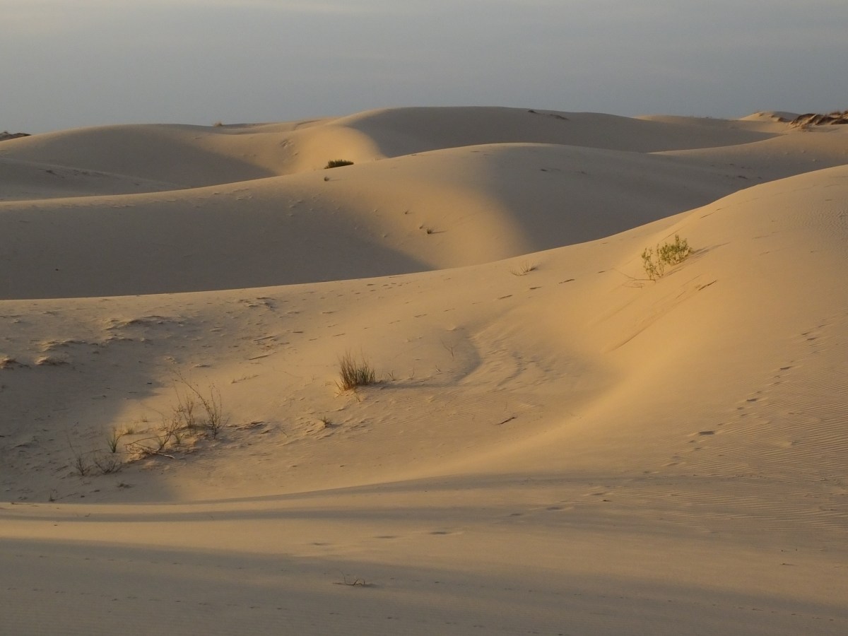 Lots of Sand But No&nbsp;Beach