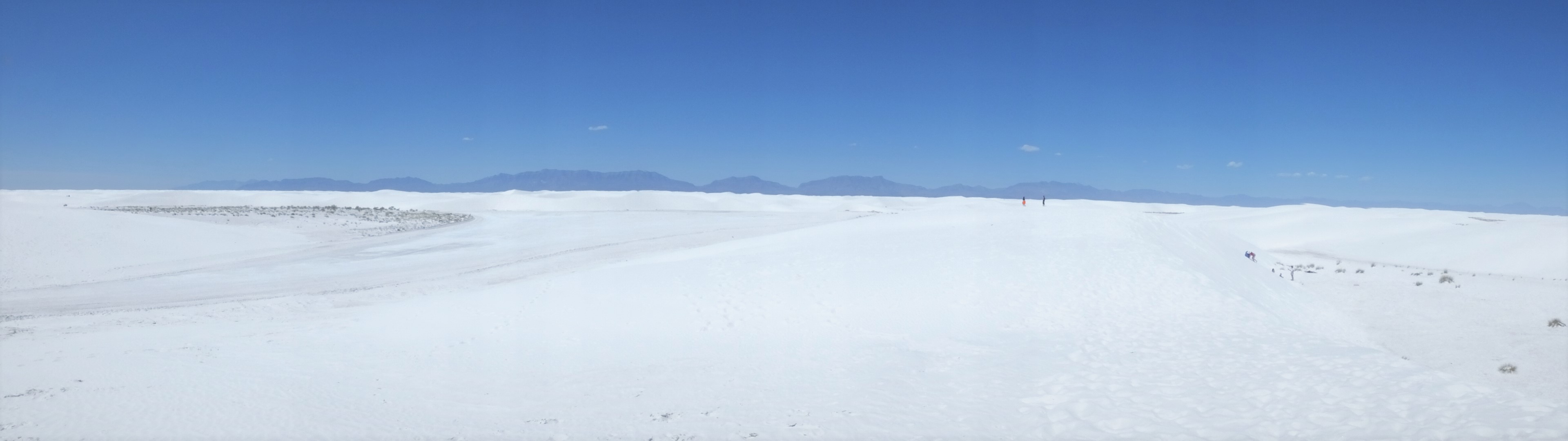 2018 Alaska Trip 0442 - 1805051252 edit