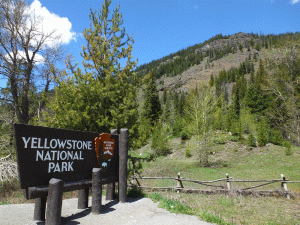 2018 Alaska Trip 1110 - 1805251223