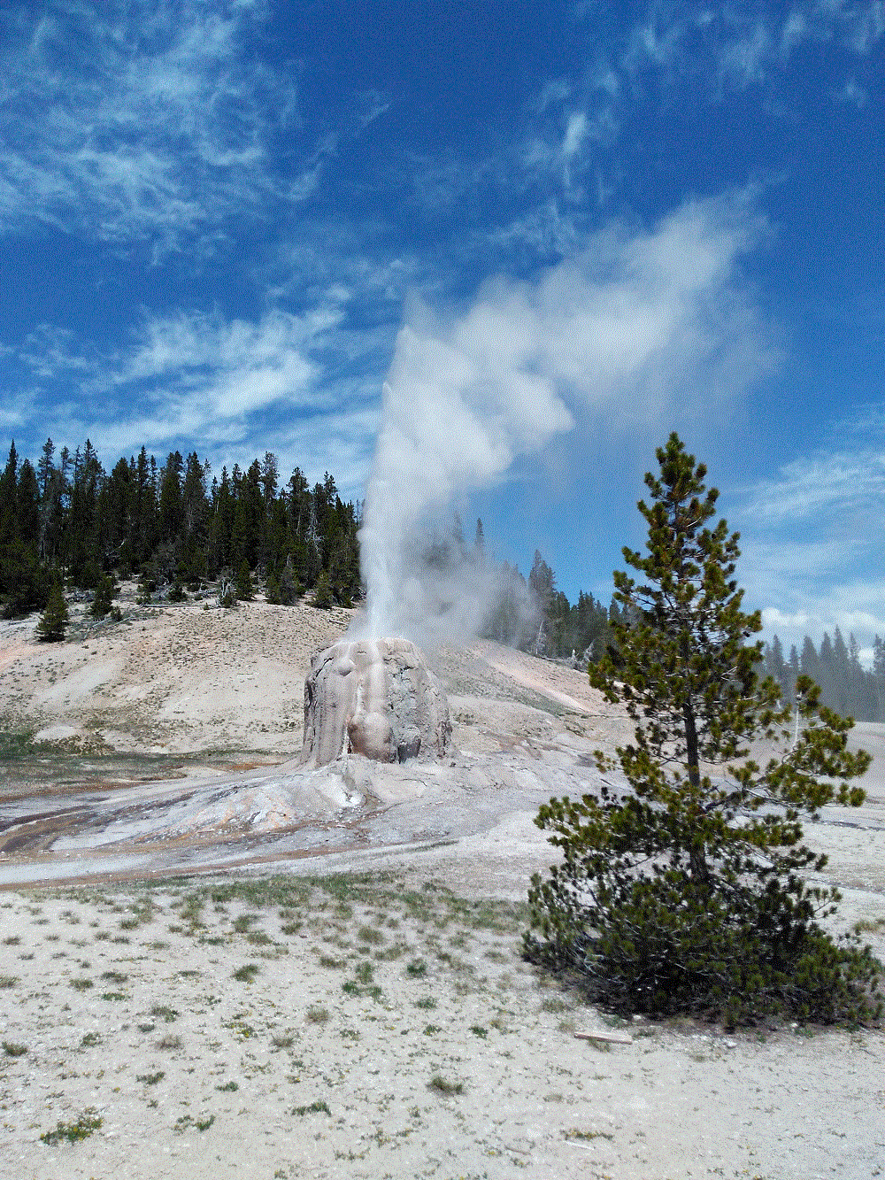 2018 Alaska Trip 1161 - 1805261356