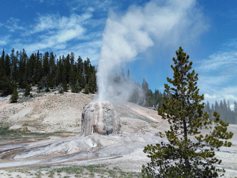 Yellowstone NP: Thermal&nbsp;Features
