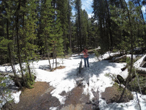 2018 Alaska Trip 1164 - 1805261424