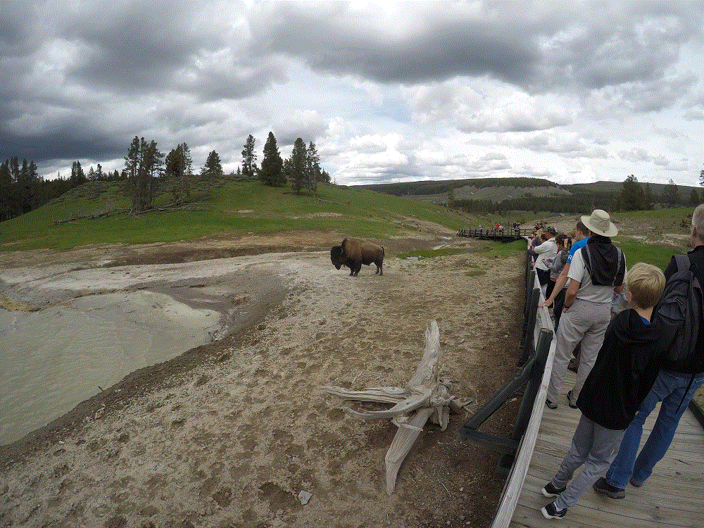 2018 Alaska Trip 1194 - 1805271642