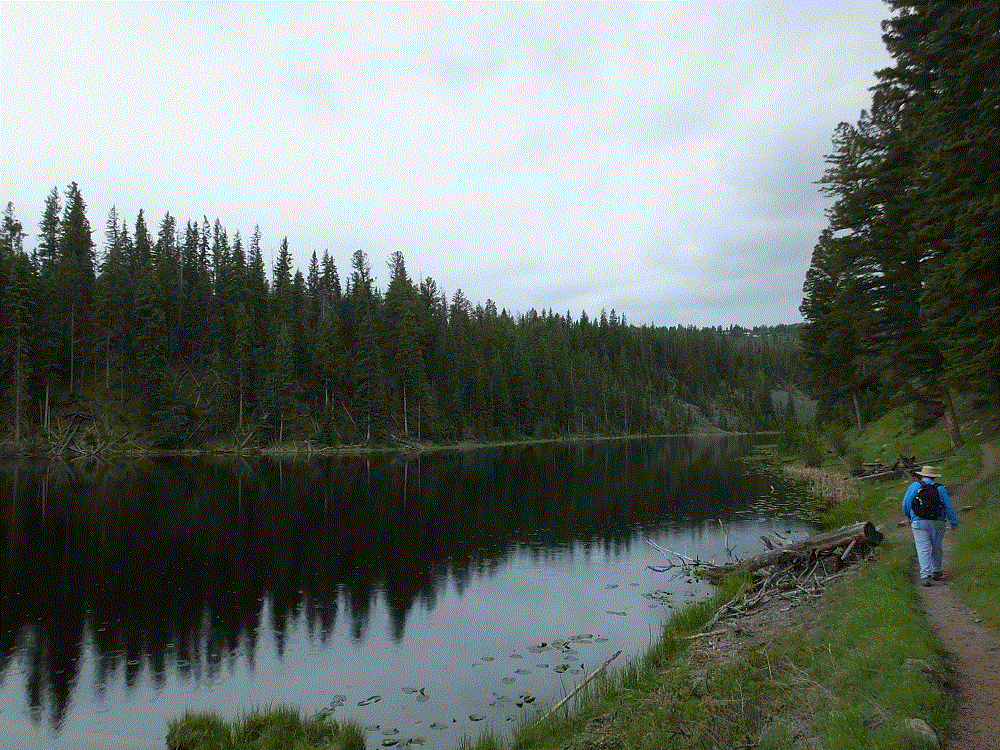 2018 Alaska Trip 1240 - 1805281605.gif