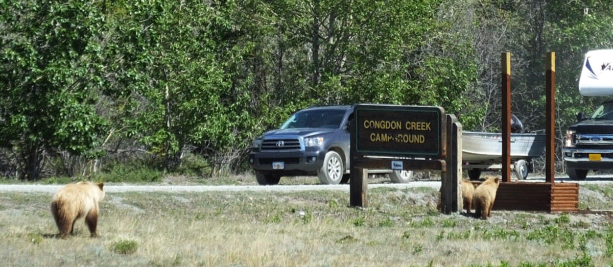 2018 Alaska Trip 1992 - 1806211437