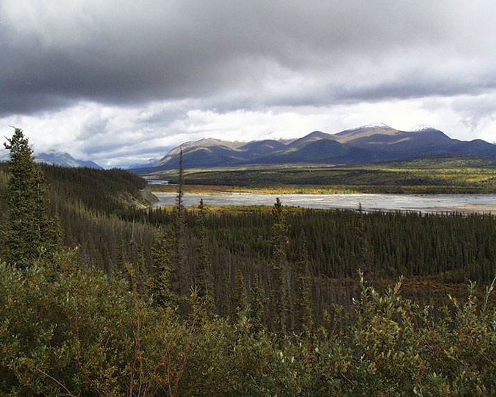 kluane-roadside