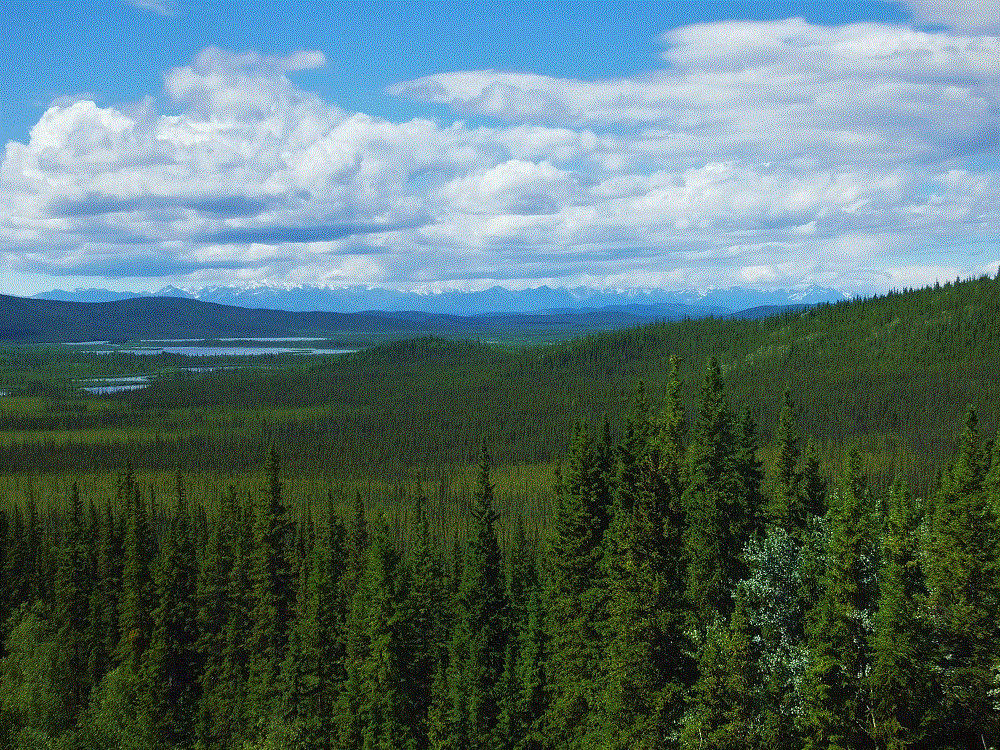 2018 Alaska Trip 2038 - 1806221335