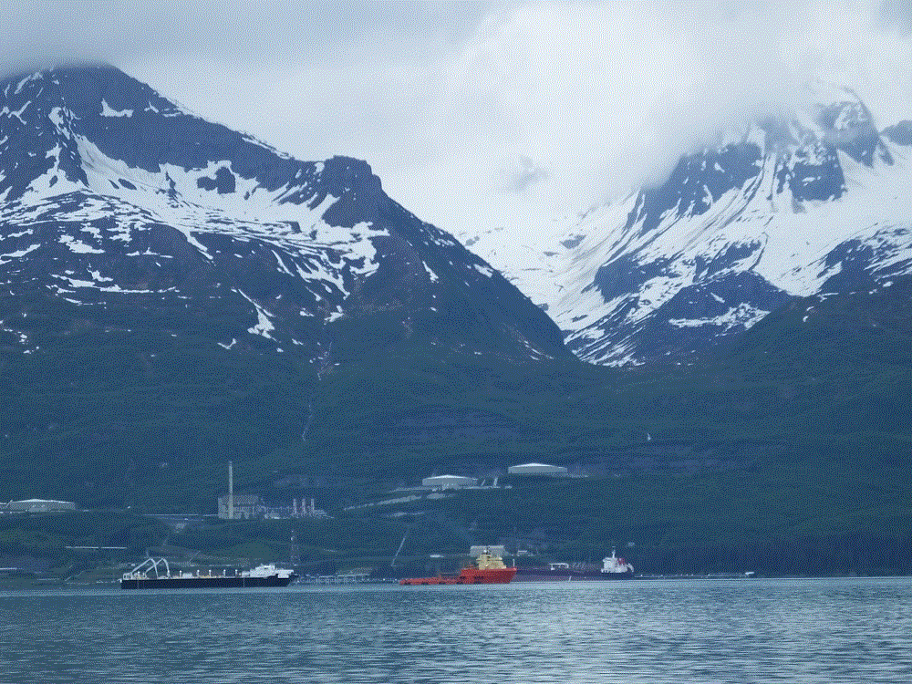 2018 Alaska Trip 2099 - 1806271743