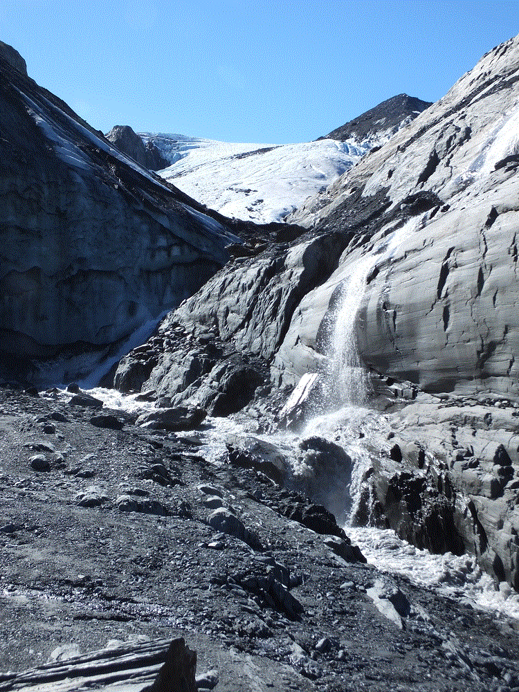 2018 Alaska Trip 2232 - 1807011858