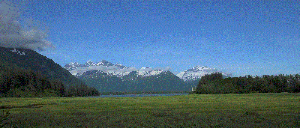 2018 Alaska Trip 2246 - 1807012050