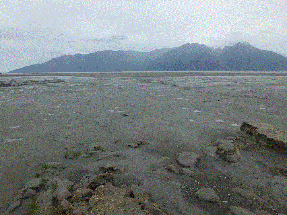 2018 Alaska Trip 2367 - 1807101344