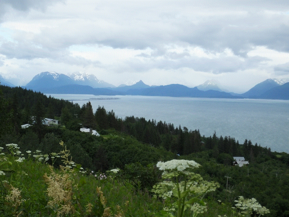 2018 Alaska Trip 2453 - 1807132027