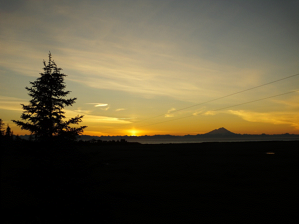 2018 Alaska Trip 2585 - 1807180100