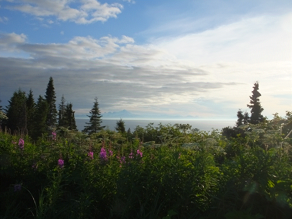 2018 Alaska Trip 2770 - 1807202322