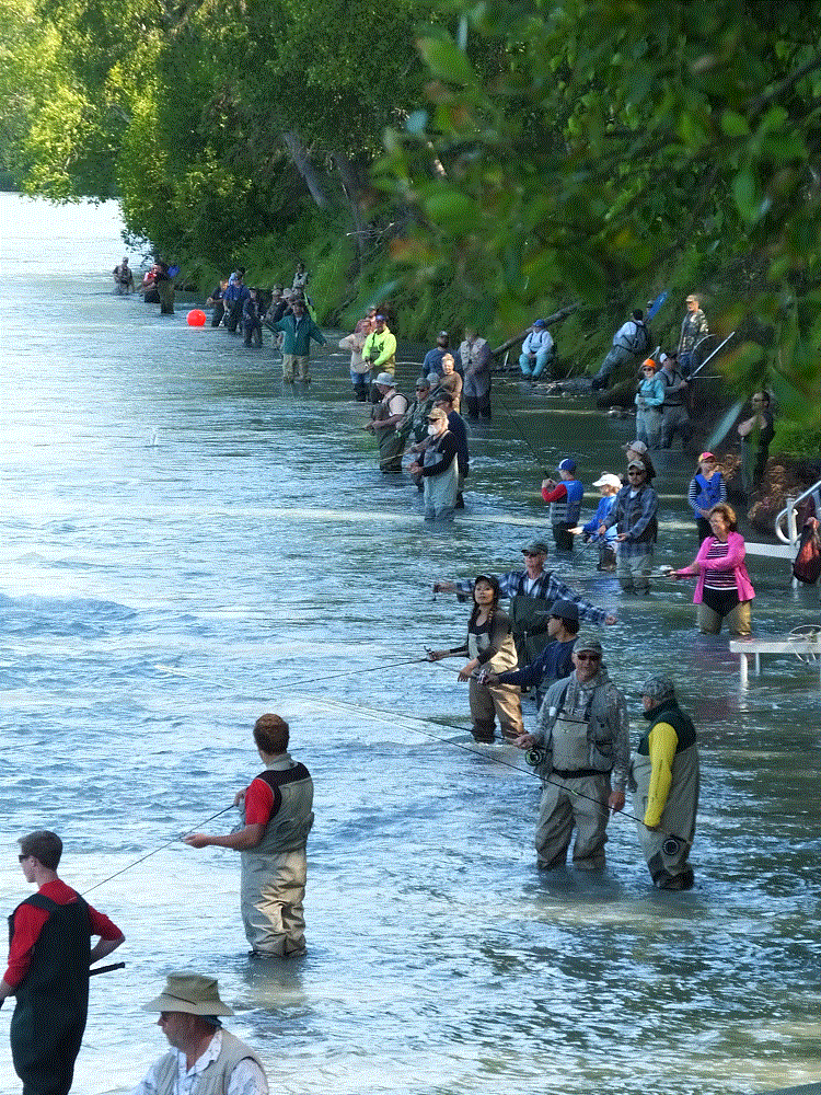 2018 Alaska Trip 2802 - 1807221805