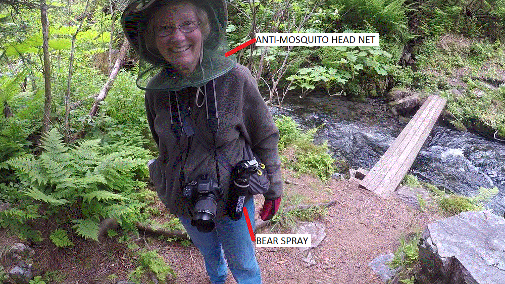 2018 Alaska Trip Video 0245 - 1806291500_Moment