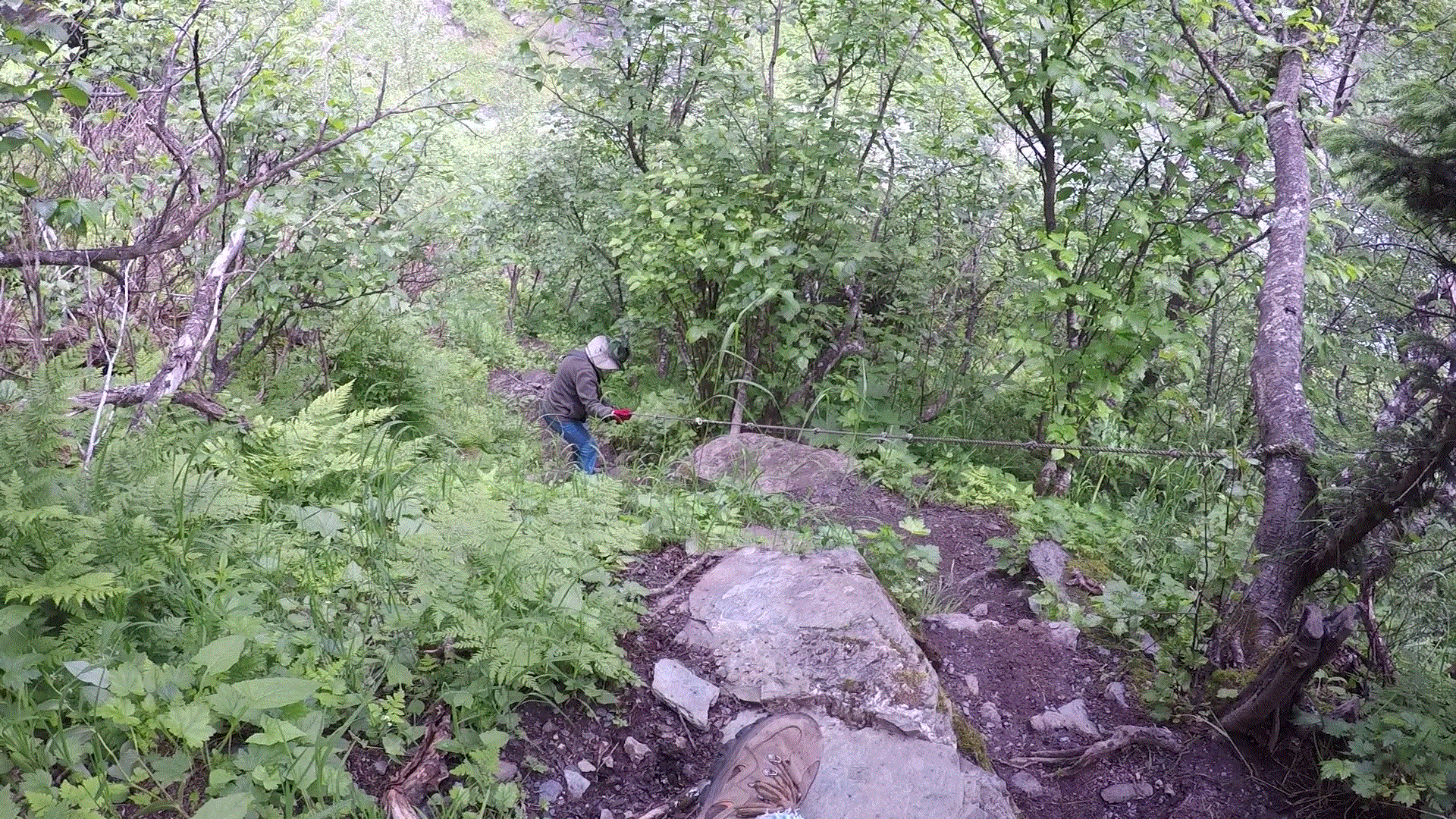 2018 Alaska Trip Video 0247 - 1806291537_Moment