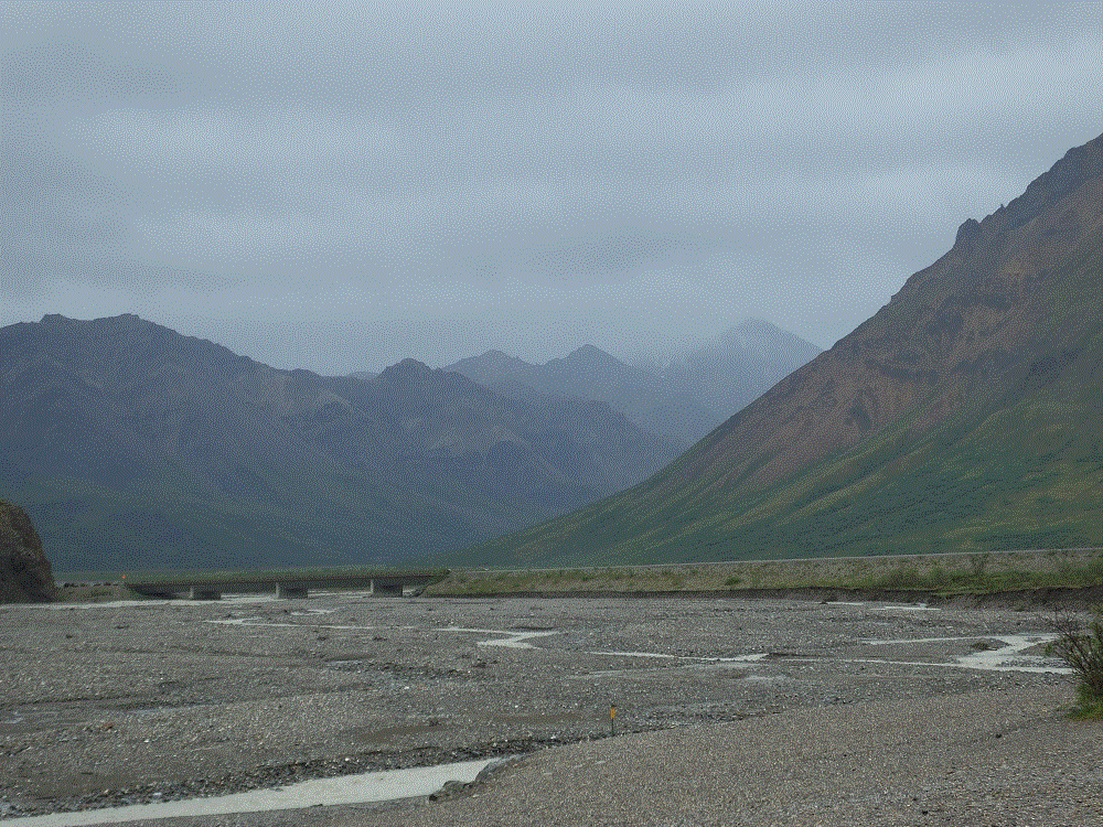 2018 Alaska Trip 3117 - 1808061340