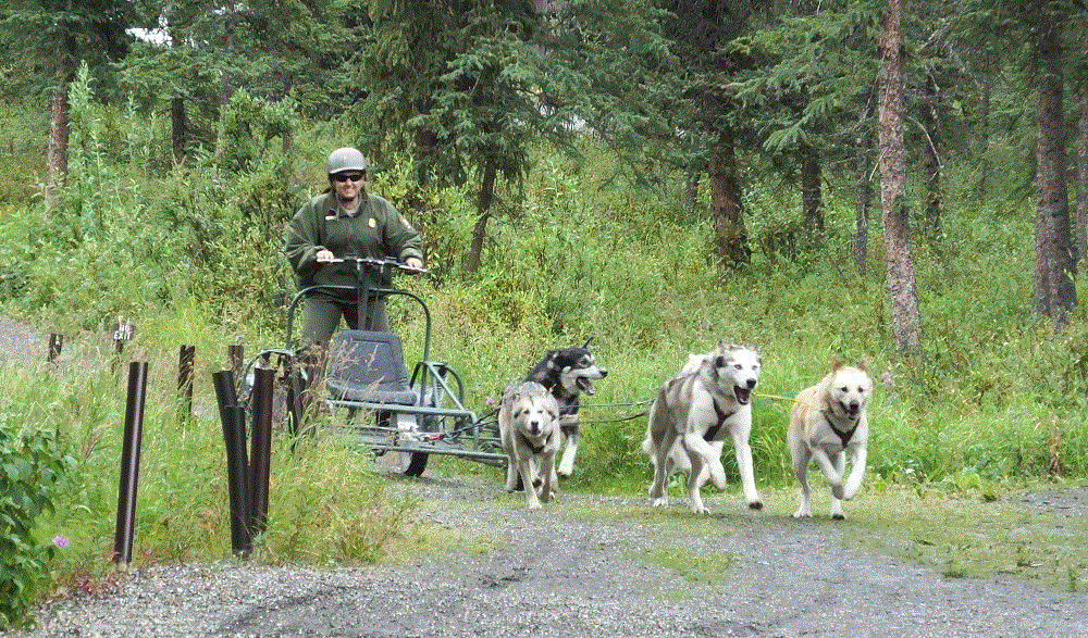 2018 Alaska Trip 3251 - 1808081607