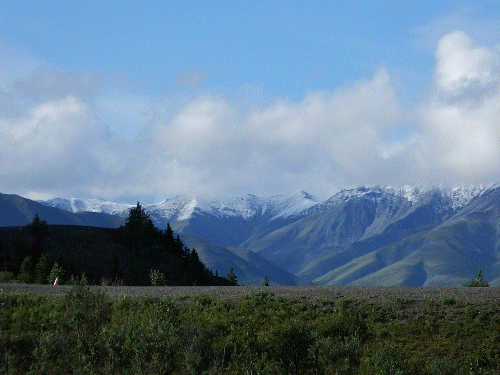 2018 Alaska Trip 3291 - 1808091145