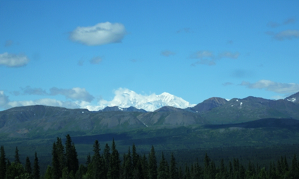 2018 Alaska Trip 3329 - 1808091515