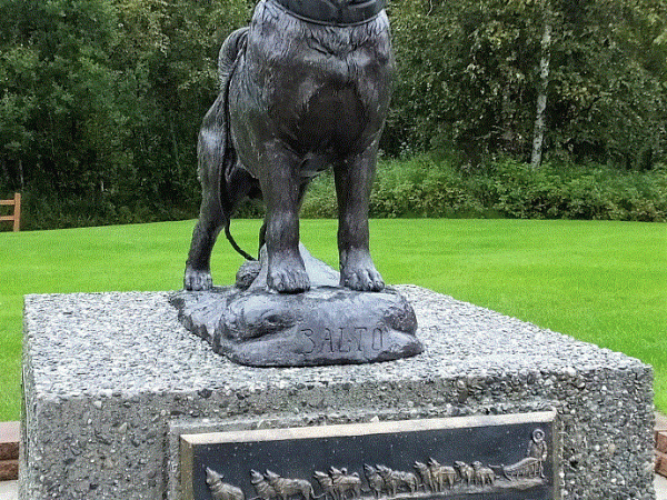 Iditarod: Dog Sledding Super&nbsp;Bowl