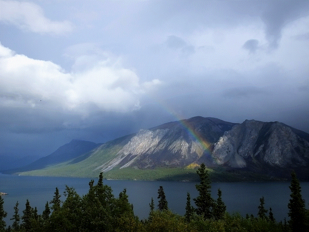 2018 Alaska Trip 4549 - 1808311706