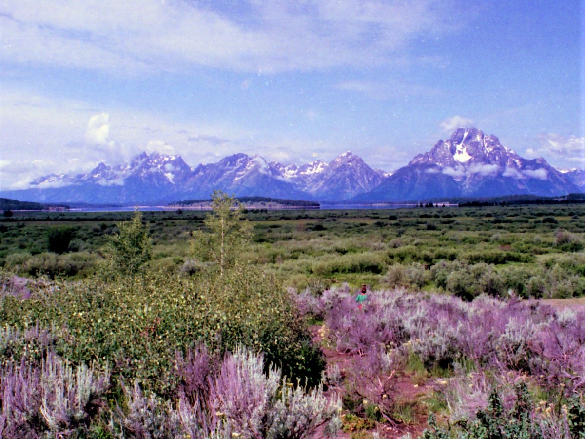 Catching Up and A New&nbsp;Journey