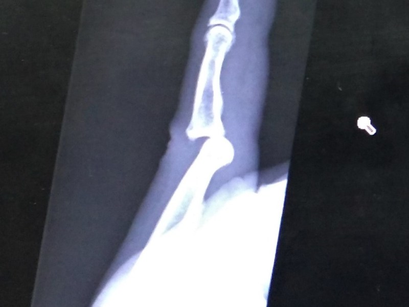 Lessons of the&nbsp;Unexpected