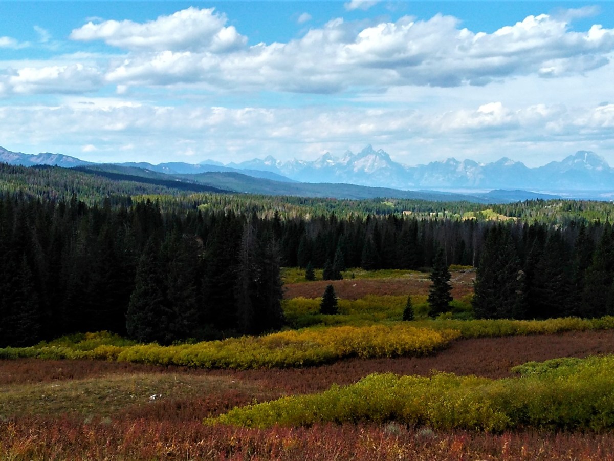 Grand Teton Wrap&nbsp;Up