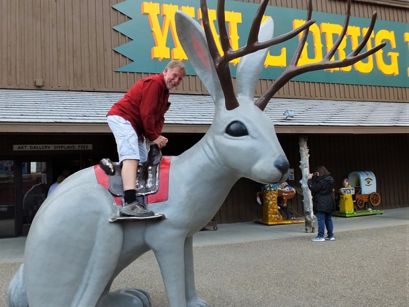 Along the LONG&nbsp;ROAD