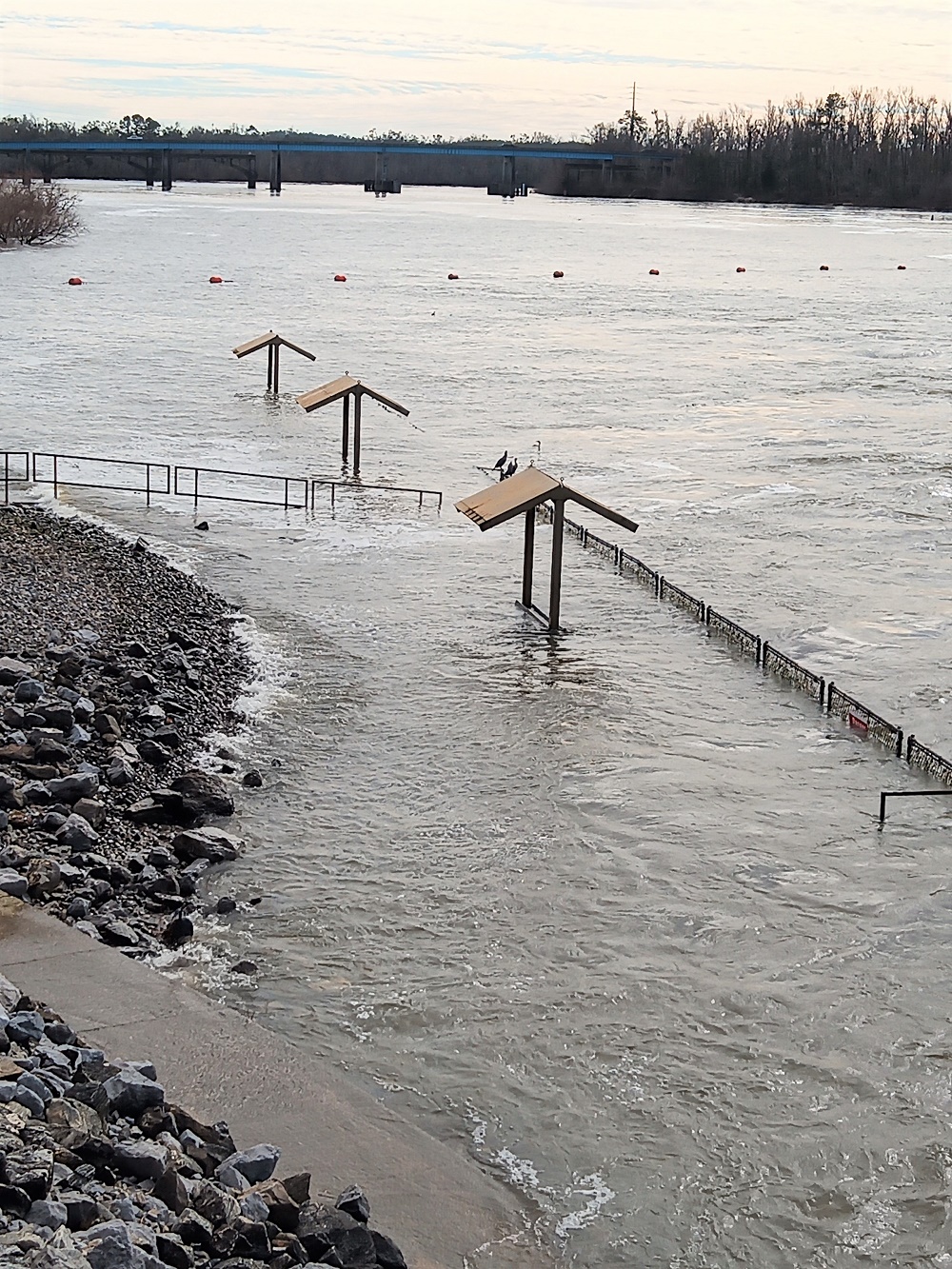 Apalachicola High Waters