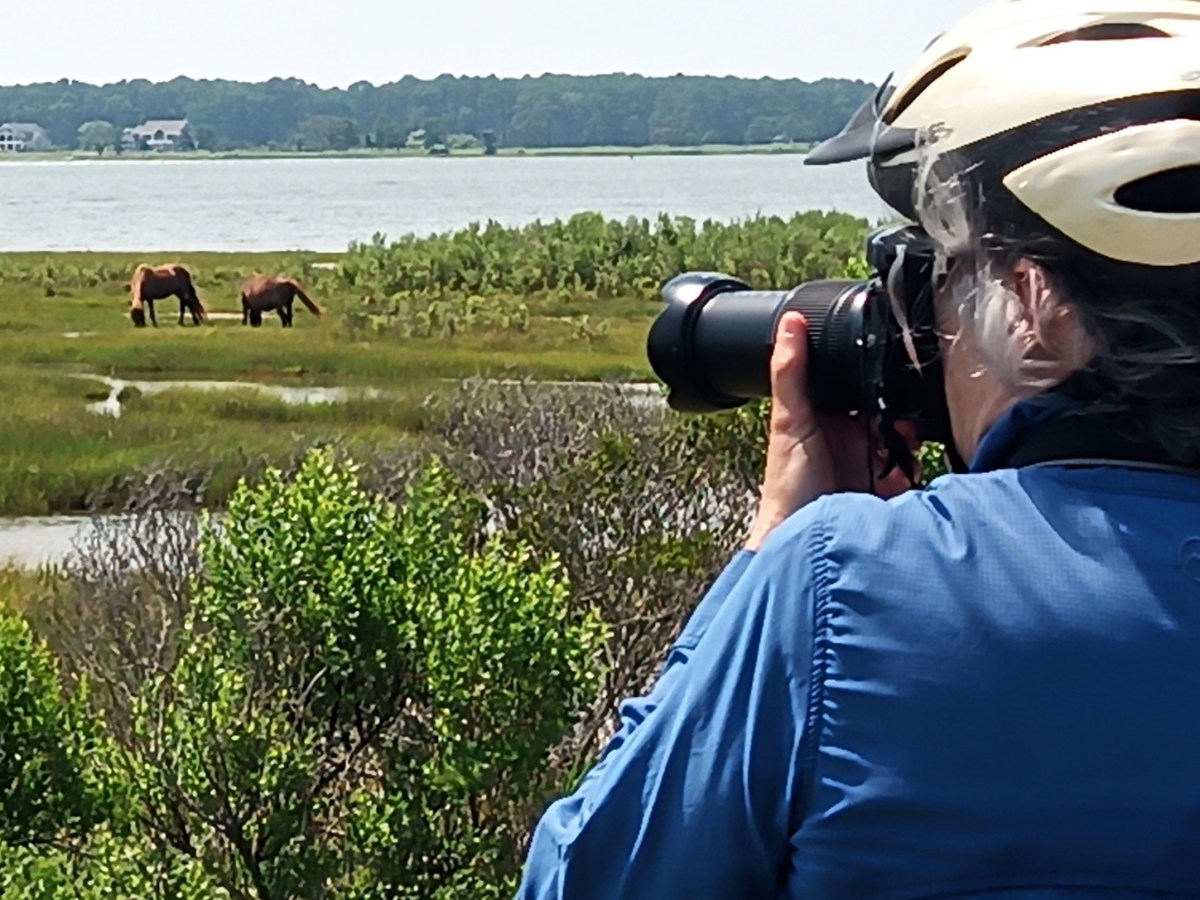 White Knuckles, Horse Chuckles and Two&nbsp;Forks