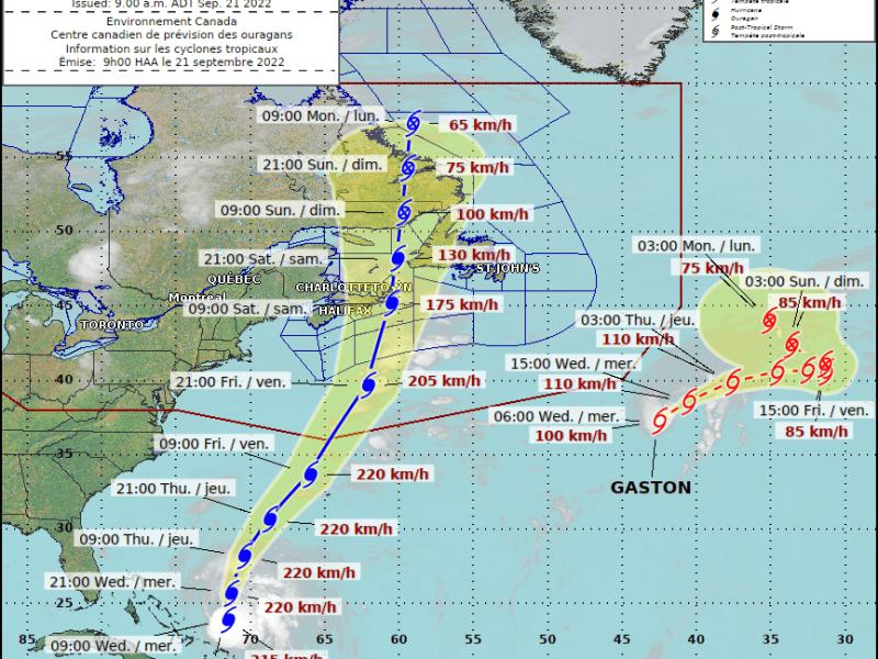 We Interrupt this Blog For A Special&nbsp;Update