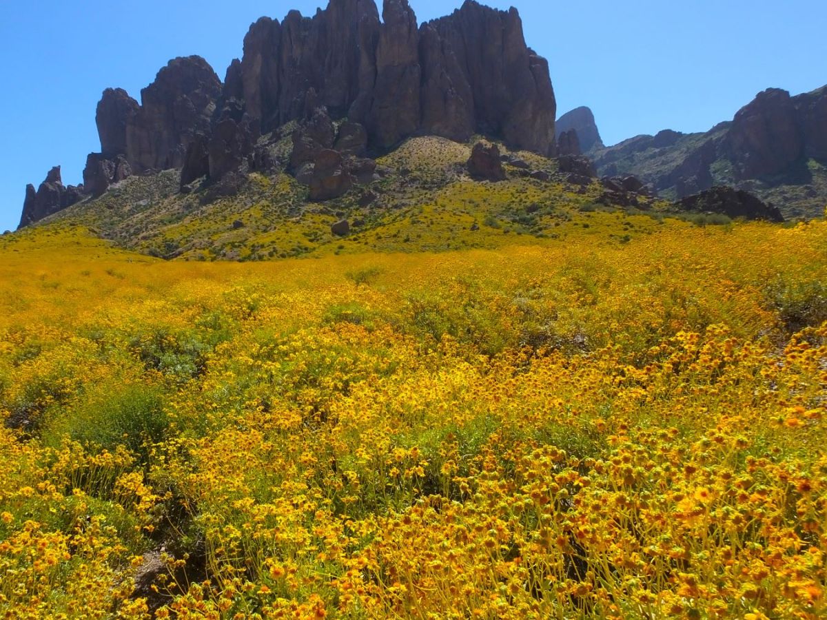 Adventures in the Southwest&nbsp;Desert