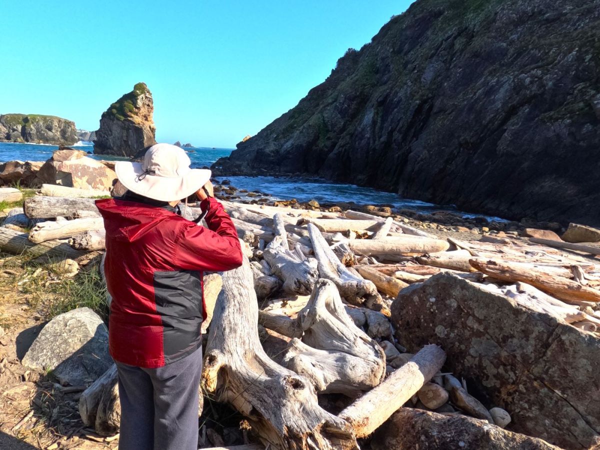 Awesome Views and a Big&nbsp;Goose