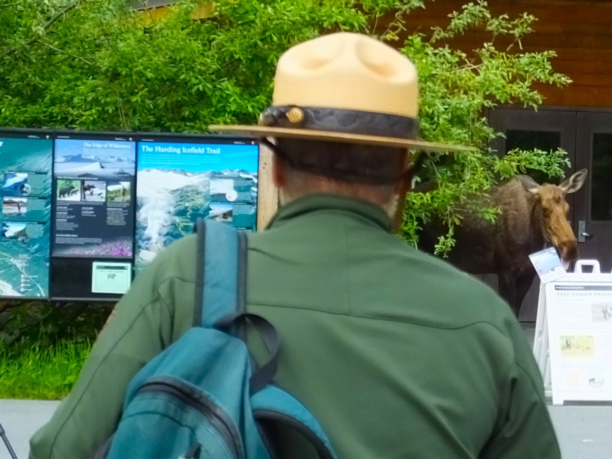 Camping on the Kenai&nbsp;Peninsula