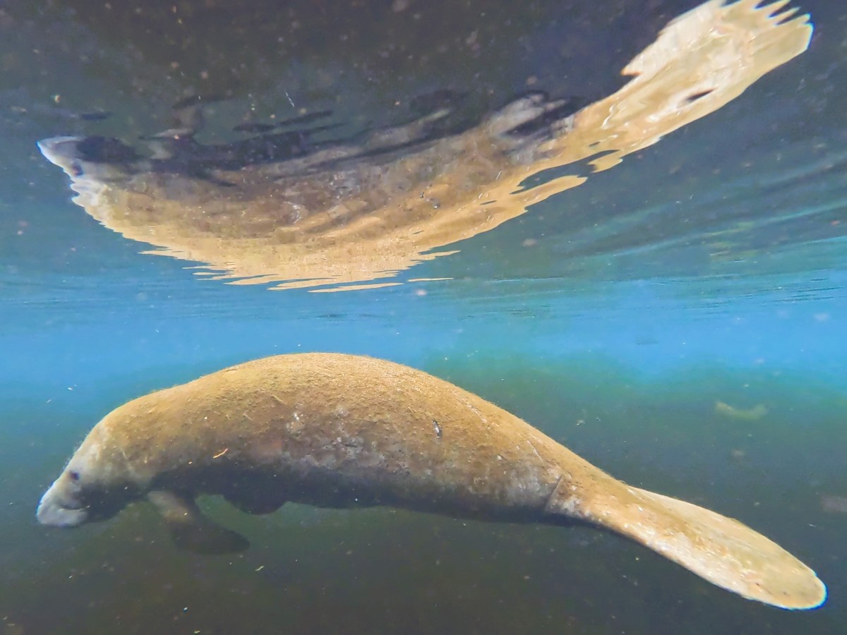 Heartland Bound and Catching Up (part&nbsp;1)