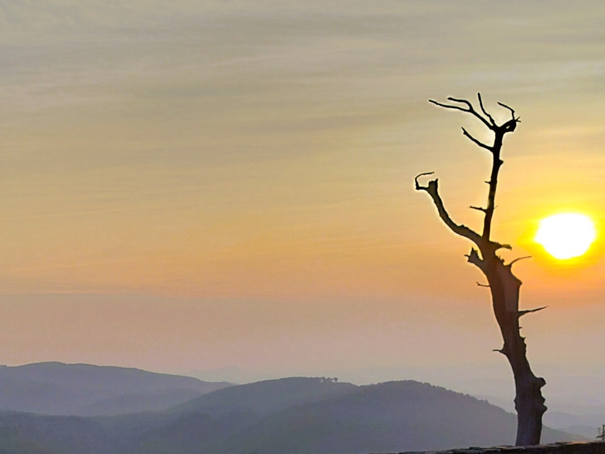 Waterfall Views and Mountain&nbsp;Hues