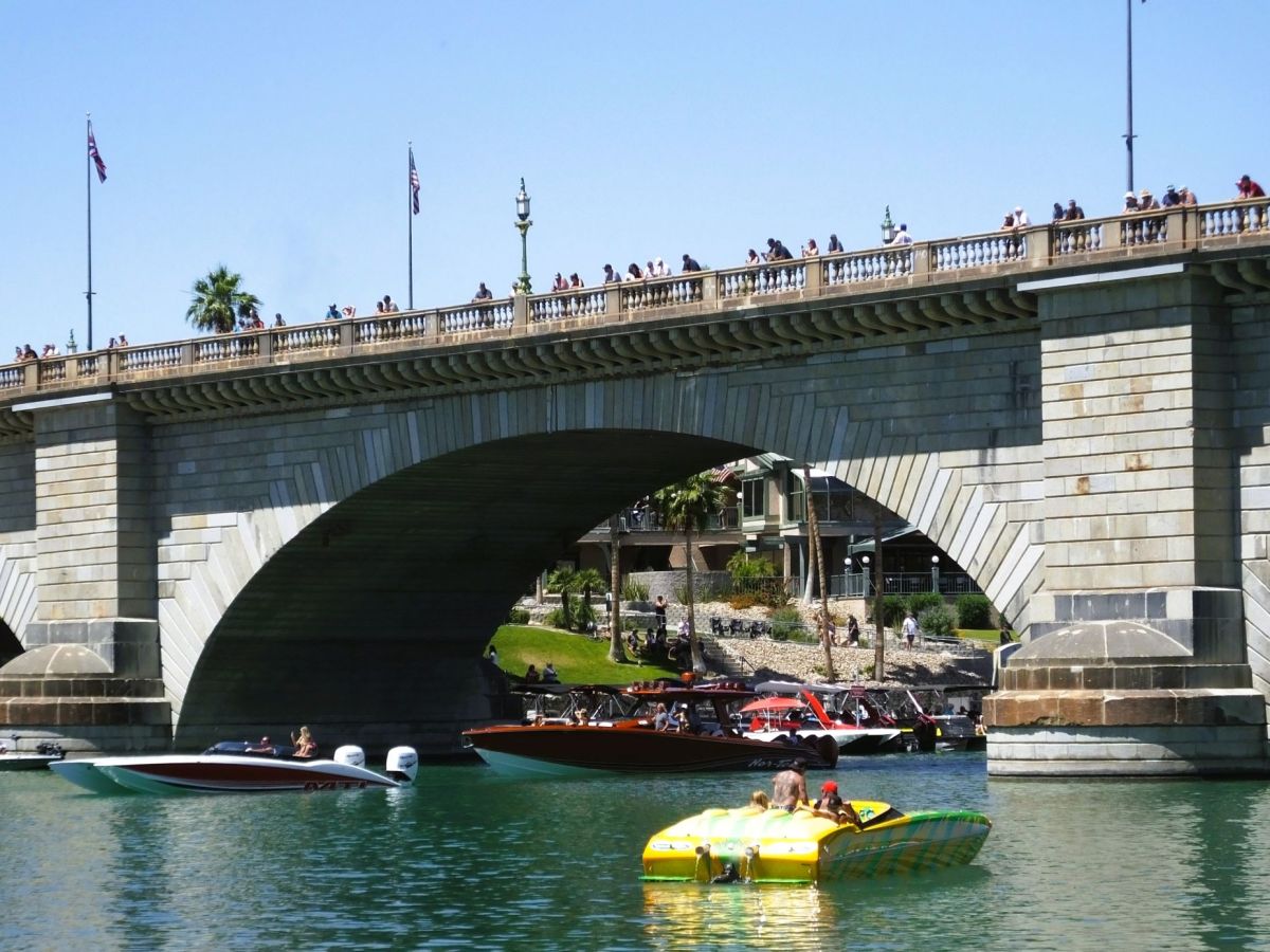 Happy Cows and Race&nbsp;Boats